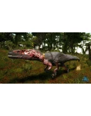 Beasts of Bermuda - Wiehenvenator Supporter Warpaint