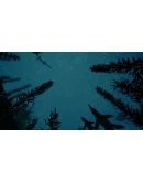 Beasts of Bermuda * STEAM RU АВТО 0