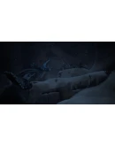 Beasts of Bermuda * STEAM RU АВТО 0