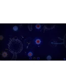 Microcosmum: survival of cells - Campaign 