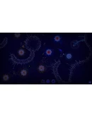 Microcosmum: survival of cells - Campaign 