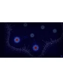 Microcosmum: survival of cells - Campaign Microcosmum: survival of cells - Campaign