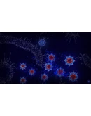Microcosmum: survival of cells - Campaign Microcosmum: survival of cells - Campaign