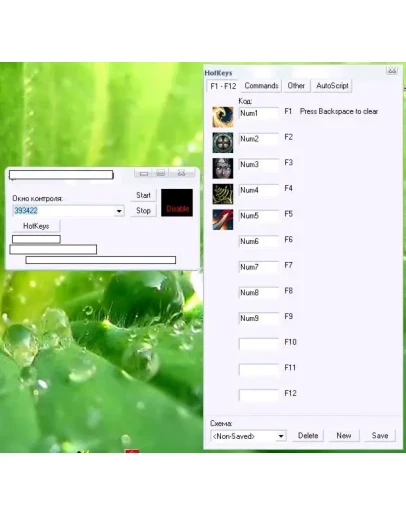 Программа для Lineage2 для управление другим окном с помощью цифровой клавиатуры.