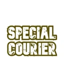 Special Courier Steam РУ+UA+KZ+СНГ