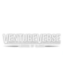 VentureVerse: Legend of Ulora Steam РУ+UA+KZ+СНГ