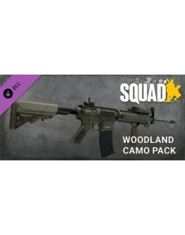 Squad - WS - Pack 1 DLC * STEAM RU АВТО 0