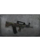 Squad - WS - Pack 1 DLC * STEAM RU АВТО 0
