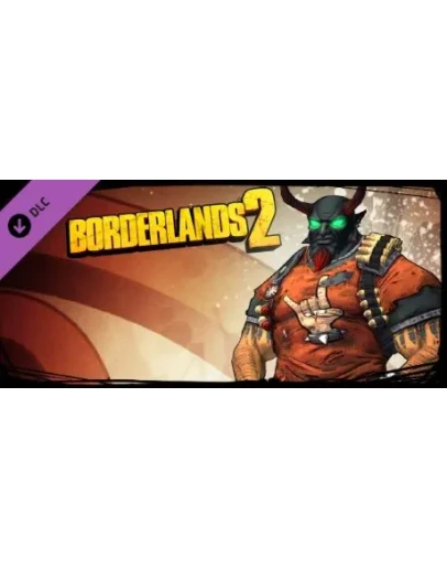 Borderlands 2: Gunzerker Madness Pack Steam Gift Россия
