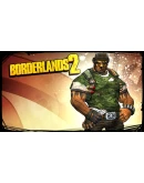 Borderlands 2: Gunzerker Domination Pack Steam Gift RU
