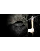 Scary Mine VR АВТОДОСТАВКА STEAM GIFT РОССИЯ