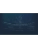 Bonding Ambivalence Steam РУ+UA+KZ+СНГ