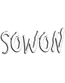 SOWON Steam РУ+UA+KZ+СНГ