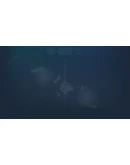 Dashpong Steam РУ+UA+KZ+СНГ