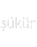 SUKUR Steam РУ+UA+KZ+СНГ SUKUR Steam РУ+UA+KZ+СНГ