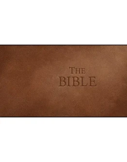 The Bible Steam РУ+UA+KZ+СНГ