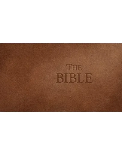 The Bible Steam РУ+UA+KZ+СНГ The Bible Steam РУ+UA+KZ+СНГ