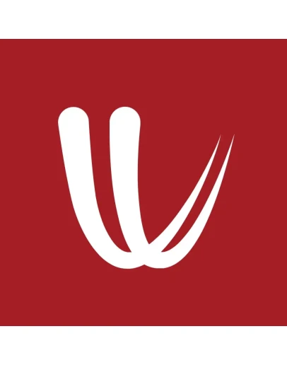Подписка на премиум-аккаунт Windy.com на 1 год