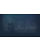 Torii Steam РУ+UA+KZ+СНГ Torii Steam РУ+UA+KZ+СНГ