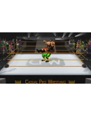 Casual Pro Wrestling * STEAM RU АВТО 0