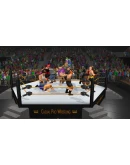 Casual Pro Wrestling * STEAM RU АВТО 0