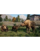 Planet Zoo: Eurasia Animal Pack DLC * STEAM RU Planet Zoo: Eurasia Animal Pack DLC * STEAM RU