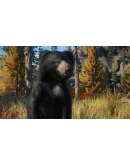 Planet Zoo: Eurasia Animal Pack DLC * STEAM RU Planet Zoo: Eurasia Animal Pack DLC * STEAM RU