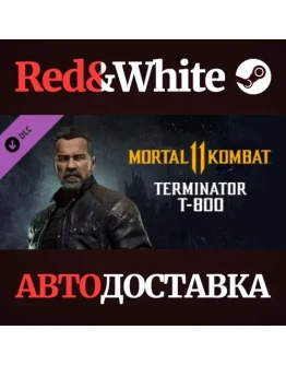 Terminator T-800 DLC * STEAM РОССИЯАВТОДОСТАВКА
