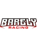 Barely Racing Steam РУ+UA+KZ+СНГ Barely Racing Steam РУ+UA+KZ+СНГ