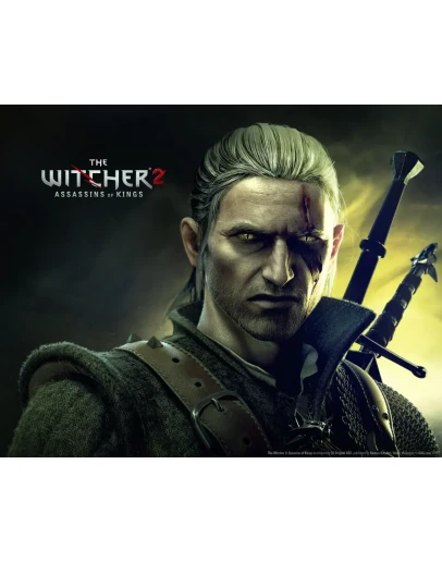 The Witcher 2, INJUSTICE Xbox 360 на 6 месяцев