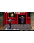 DoubleDragon Advance XBOX Ключ