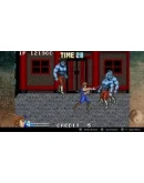 DoubleDragon Advance XBOX Ключ