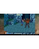 DoubleDragon Advance XBOX Ключ