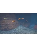 Aquarist XBOX Ключ