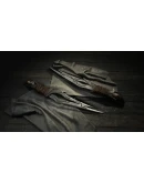 Hunt: Showdown - The Shadow Under the Cowl DLC - STEAM