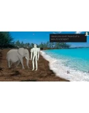 Infini XBOX Ключ