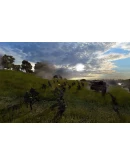 Order of War (Steam Gift Россия)