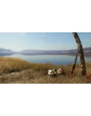 CALL OF THE WILD - DUCK AND COVER PACKXBOX