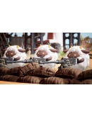 Palworld (Game Preview) Xbox ONE SERIES + PC KEY