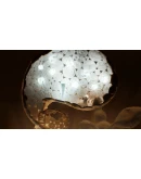 PAPETURAXBOX ONE/XSКЛЮЧ