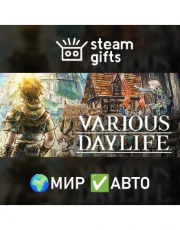 VARIOUS DAYLIFE МИР АВТО VARIOUS DAYLIFE МИР АВТО