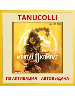 Mortal Kombat 11 Мортал (PS/PS5/RU) П3 Активация