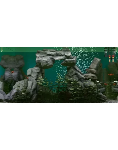 Biotope КЛЮЧ STEAM РФ+СНГ