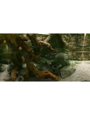 Biotope КЛЮЧ STEAM РФ+СНГ