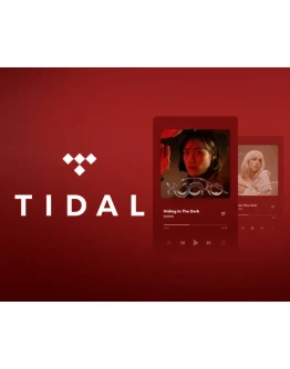 АККАУНТ TIDAL HiFi PLUS 2/3/4 МЕСЯЦЫОбновить