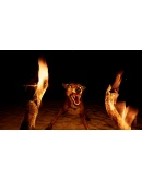 Bootstrap Island - STEAM GIFT РОССИЯ