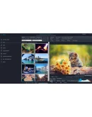 Ashampoo Photo Commander 16 Пожизненная лицензия Ashampoo Photo Commander 16 Пожизненная лицензия