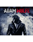 Adam Wolfe Episodes 1-4 Steam Ключ