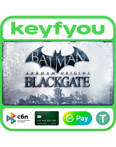 Batman: Arkham Origins Blackgate Deluxe Edition STEAM