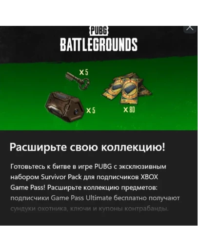 PUBG Эксклюзивный набор Выжившего 1 xbox PUBG Эксклюзивный набор Выжившего 1 xbox